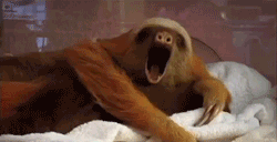 Learn How to Become a Morning Person