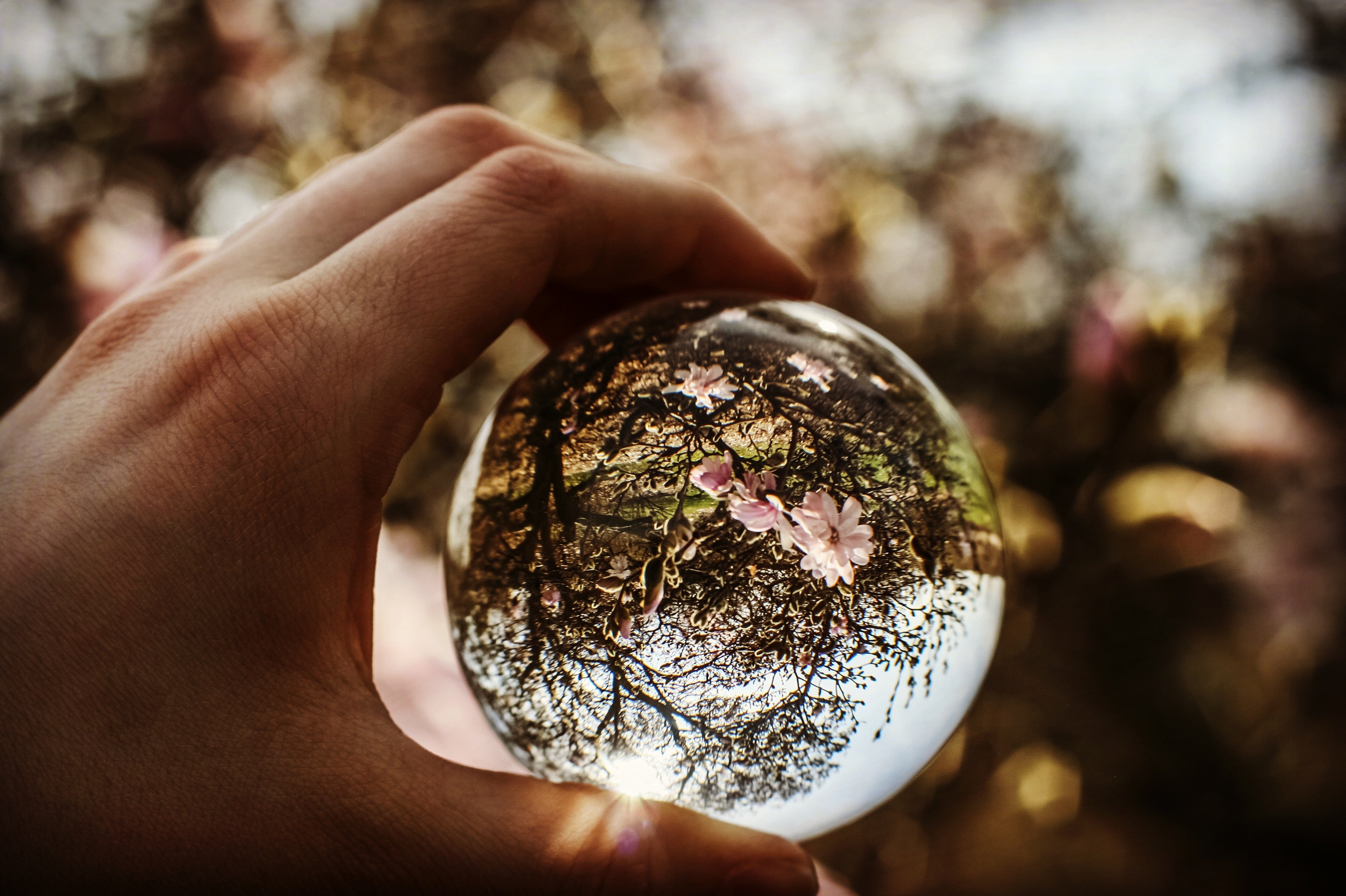 What Are the Most Compelling Theories of Consciousness to Date?