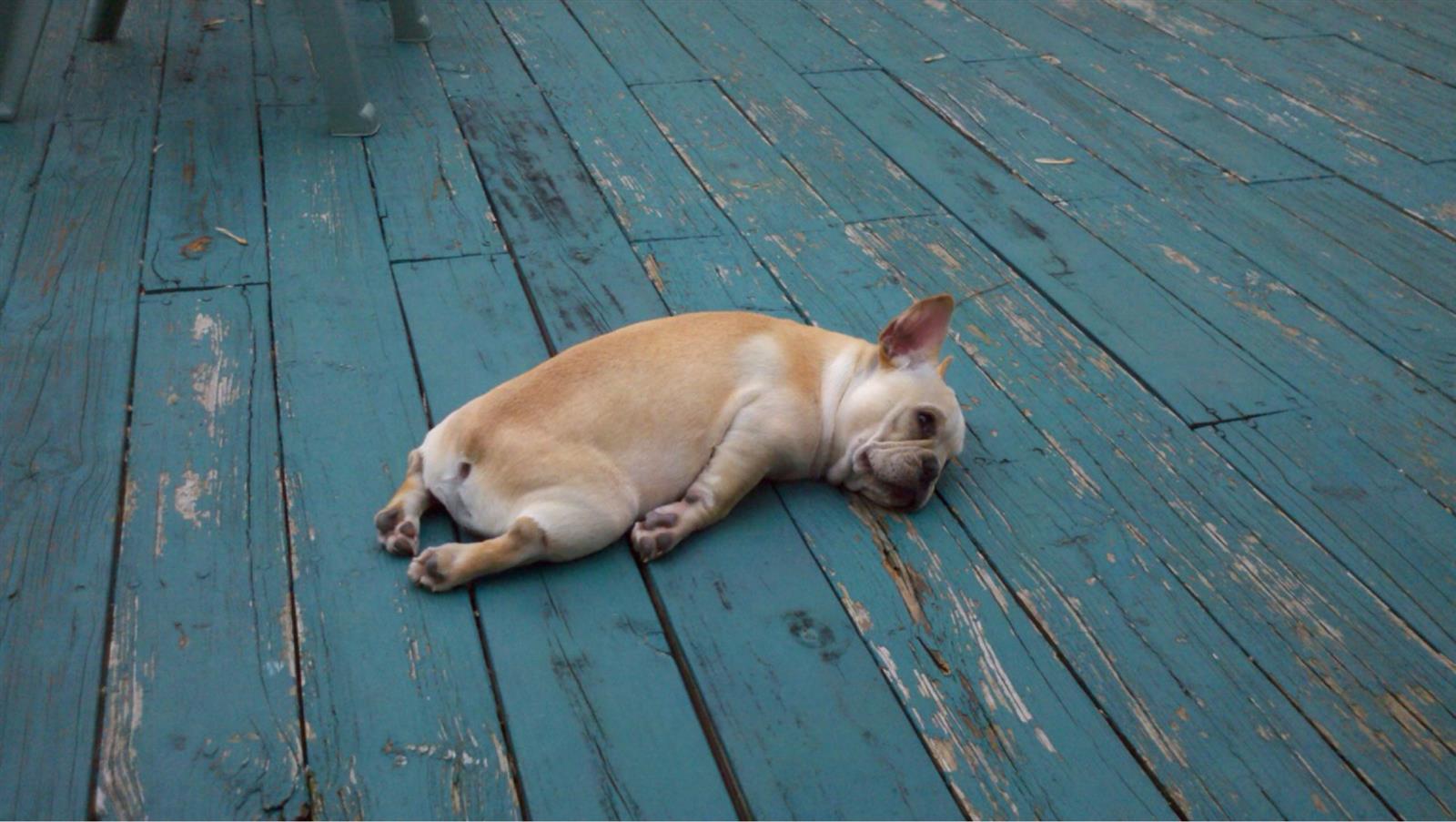 What Are Some Ways to Function While Tired?