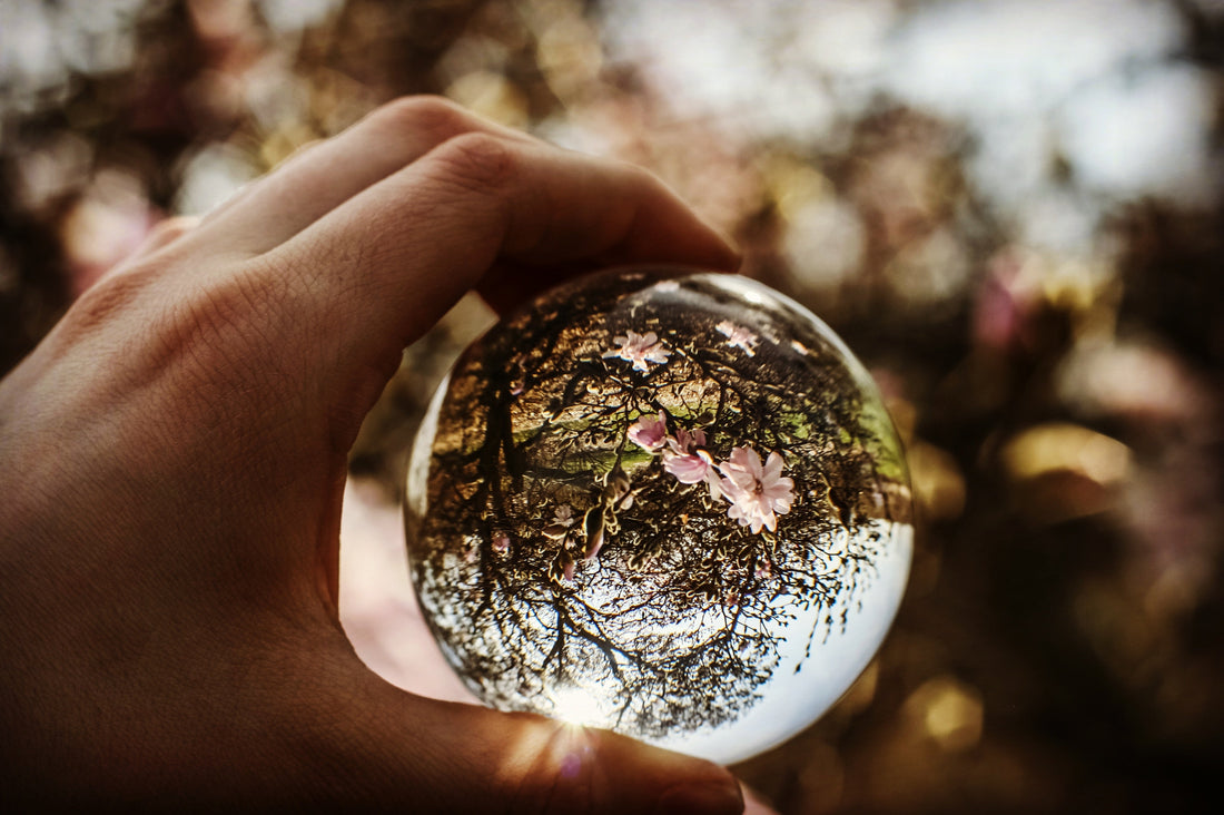 What Are the Most Compelling Theories of Consciousness to Date?