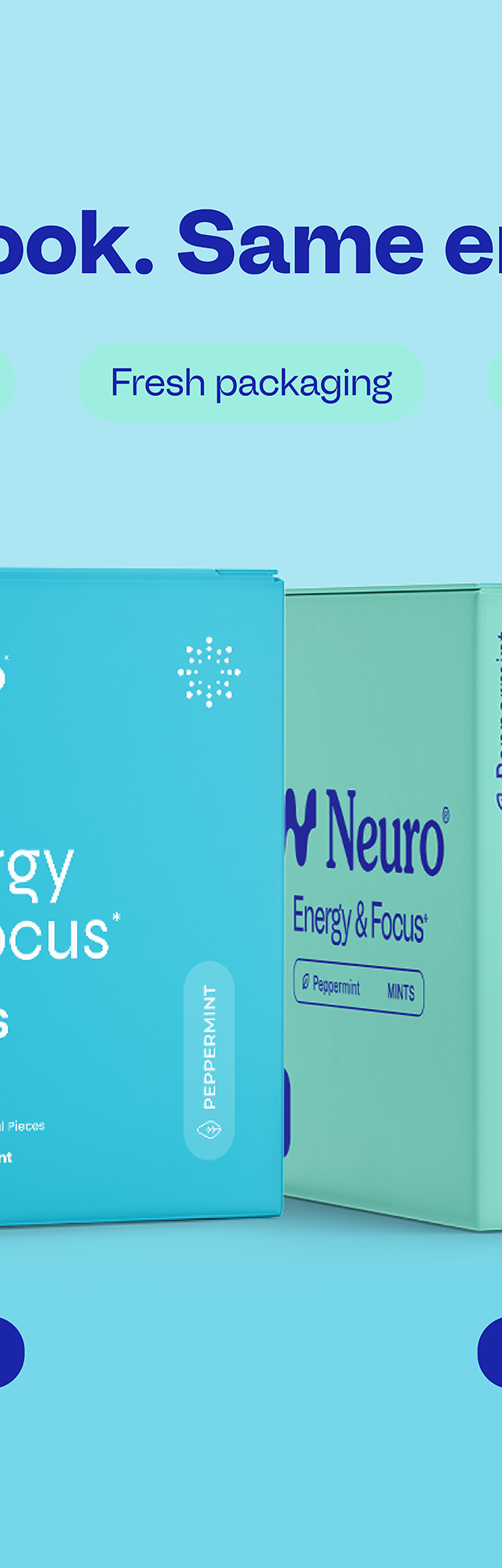 Peppermint / 72-piece pack