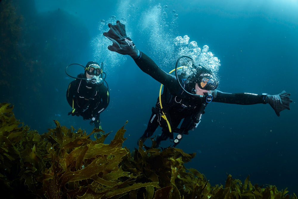 deep sea divers